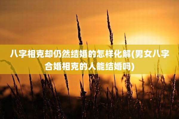 八字相克却仍然结婚的怎样化解(男女八字合婚相克的人能结婚吗)