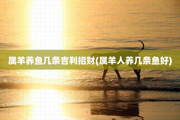 属羊养鱼几条吉利招财(属羊人养几条鱼好)
