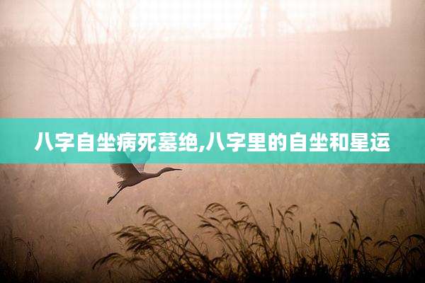 八字自坐病死墓绝,八字里的自坐和星运