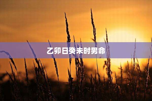 乙卯日癸未时男命