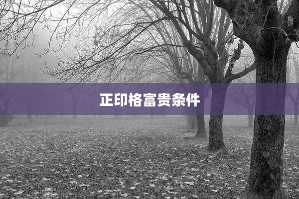 正印格富贵条件