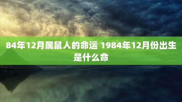 84年12月属鼠人的命运 1984年12月份出生是什么命