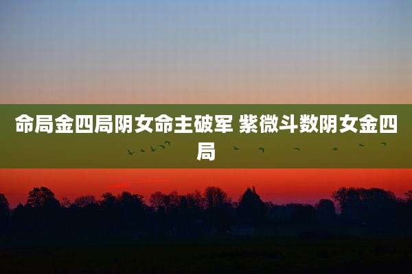 命局金四局阴女命主破军 紫微斗数阴女金四局