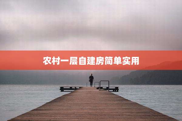 农村一层自建房简单实用
