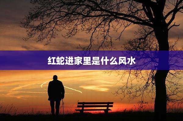 红蛇进家里是什么风水