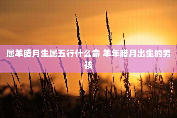 属羊腊月生属五行什么命 羊年腊月出生的男孩