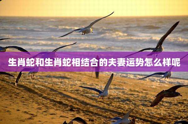 生肖蛇和生肖蛇相结合的夫妻运势怎么样呢