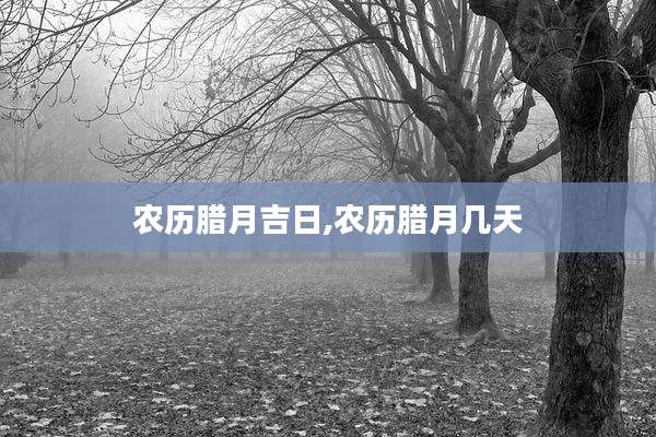 农历腊月吉日,农历腊月几天