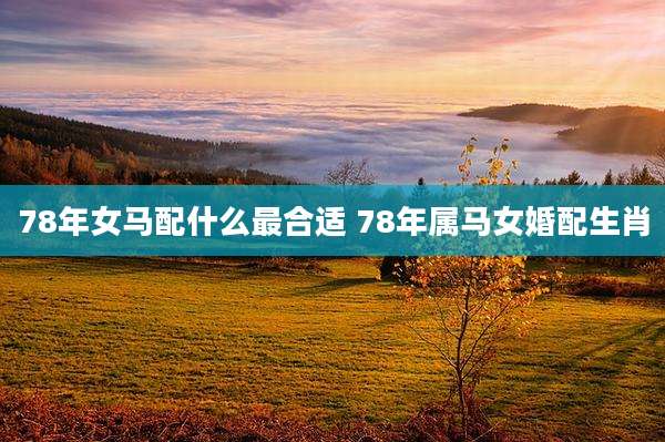 78年女马配什么最合适 78年属马女婚配生肖