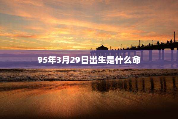 95年3月29日出生是什么命