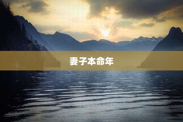 妻子本命年