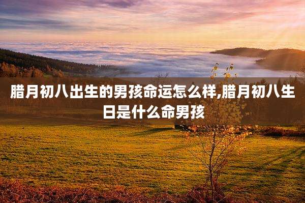 腊月初八出生的男孩命运怎么样,腊月初八生日是什么命男孩