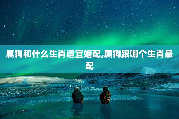 属狗和什么生肖适宜婚配,属狗跟哪个生肖最配