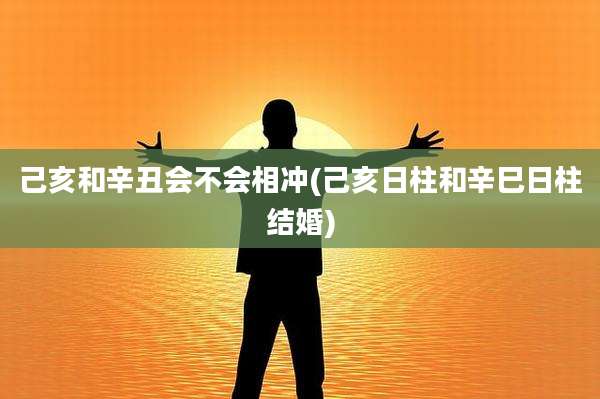 己亥和辛丑会不会相冲(己亥日柱和辛巳日柱结婚)