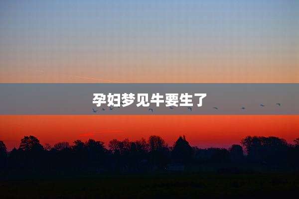 孕妇梦见牛要生了