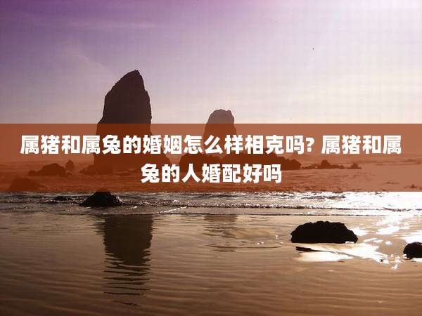 属猪和属兔的婚姻怎么样相克吗? 属猪和属兔的人婚配好吗