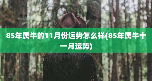 85年属牛的11月份运势怎么样(85年属牛十一月运势)