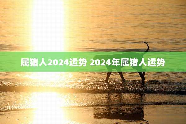 属猪人2024运势 2024年属猪人运势