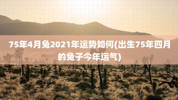 75年4月兔2021年运势如何(出生75年四月的兔子今年运气)