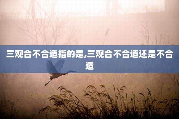三观合不合适指的是,三观合不合适还是不合适