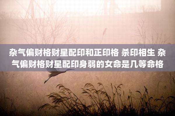 杂气偏财格财星配印和正印格 杀印相生 杂气偏财格财星配印身弱的女命是几等命格