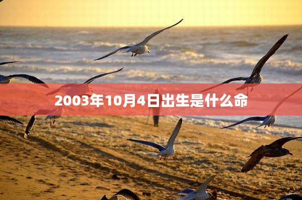 2003年10月4日出生是什么命