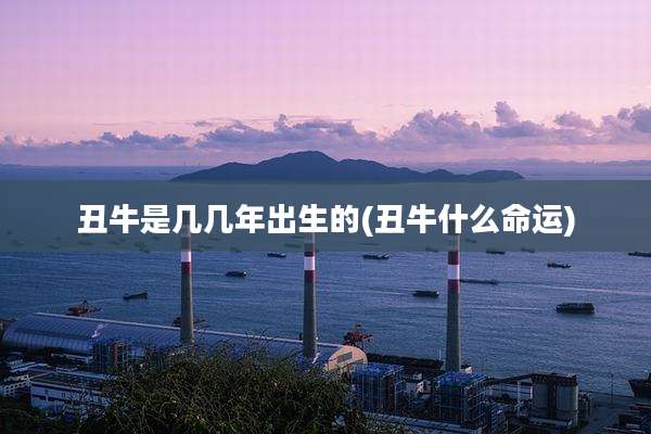 丑牛是几几年出生的(丑牛什么命运)