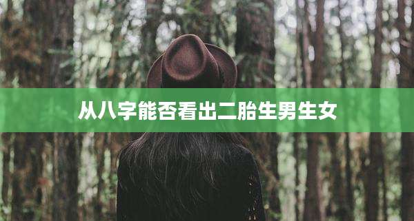 从八字能否看出二胎生男生女