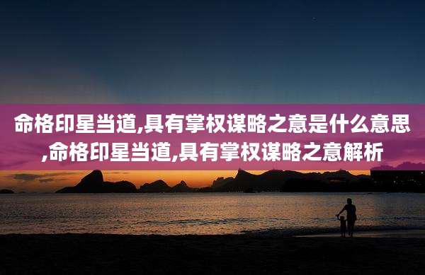 命格印星当道,具有掌权谋略之意是什么意思,命格印星当道,具有掌权谋略之意解析
