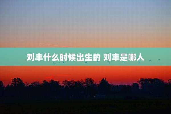刘丰什么时候出生的 刘丰是哪人