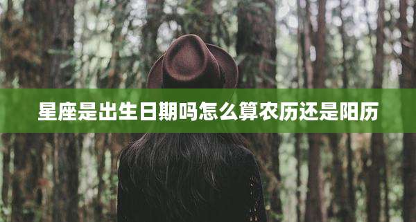 星座是出生日期吗怎么算农历还是阳历