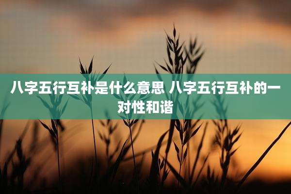八字五行互补是什么意思 八字五行互补的一对性和谐