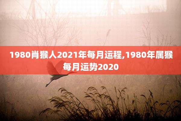 1980肖猴人2021年每月运程,1980年属猴每月运势2020