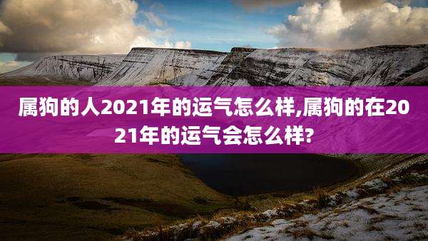 属狗的人2021年的运气怎么样,属狗的在2021年的运气会怎么样?