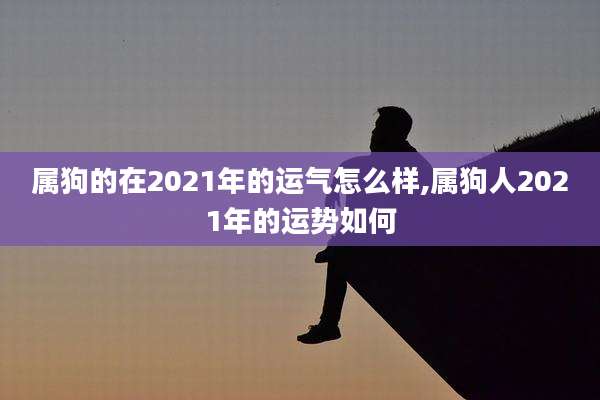 属狗的在2021年的运气怎么样,属狗人2021年的运势如何