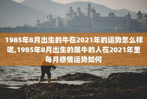 1985年8月出生的牛在2021年的运势怎么样呢,1985年8月出生的属牛的人在2021年里每月感情运势如何