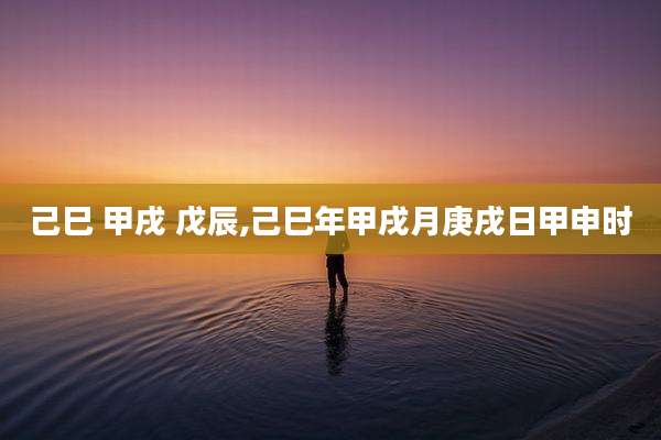 己巳 甲戌 戊辰,己巳年甲戌月庚戌日甲申时