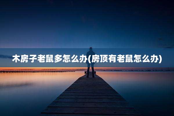 木房子老鼠多怎么办(房顶有老鼠怎么办)