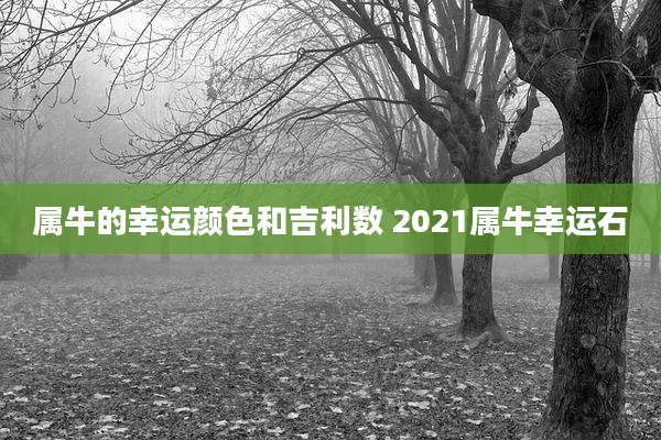 属牛的幸运颜色和吉利数 2021属牛幸运石