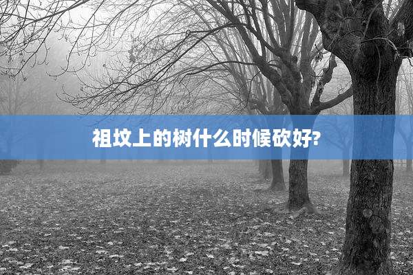祖坟上的树什么时候砍好?