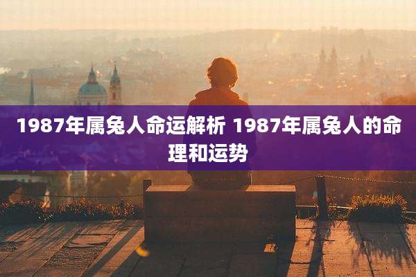 1987年属兔人命运解析 1987年属兔人的命理和运势