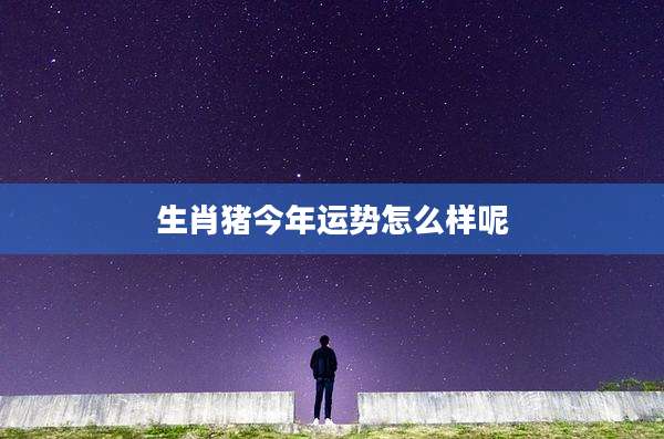 生肖猪今年运势怎么样呢