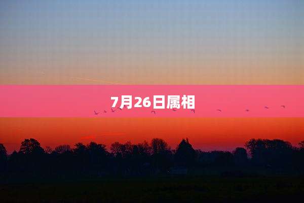 7月26日属相