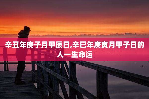 辛丑年庚子月甲辰日,辛巳年庚寅月甲子日的人一生命运