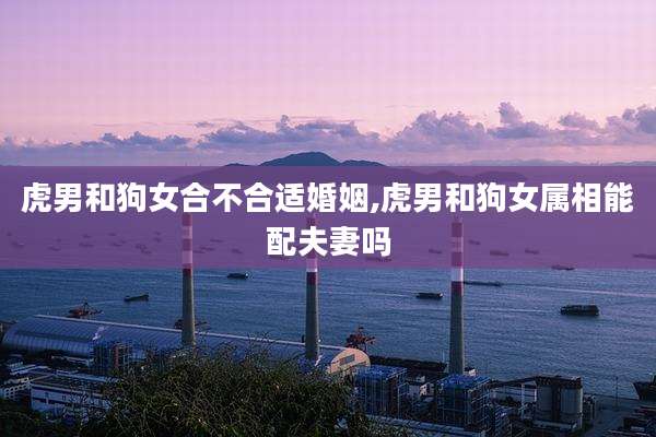 虎男和狗女合不合适婚姻,虎男和狗女属相能配夫妻吗