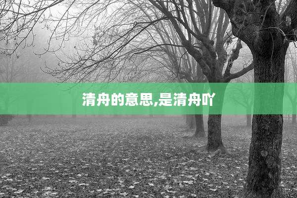 清舟的意思,是清舟吖