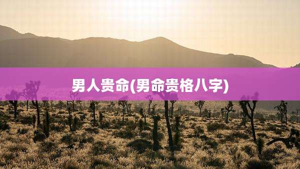 男人贵命(男命贵格八字)