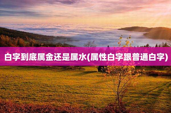 白字到底属金还是属水(属性白字跟普通白字)