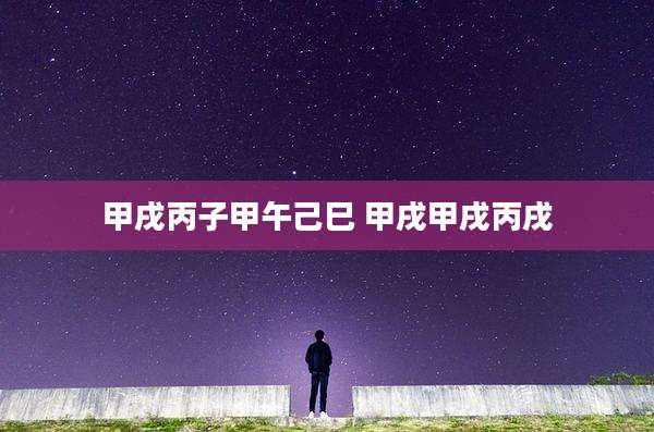 甲戌丙子甲午己巳 甲戌甲戌丙戌