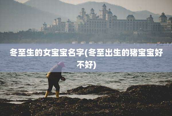冬至生的女宝宝名字(冬至出生的猪宝宝好不好)